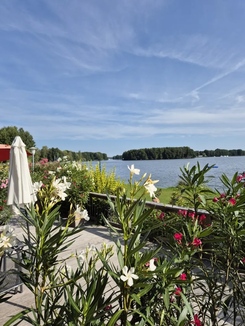Blick auf den Schwielochsee
