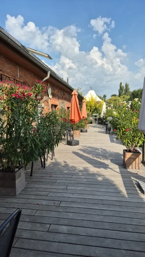 Schneebedeckter Feldweg am Schwielochsee