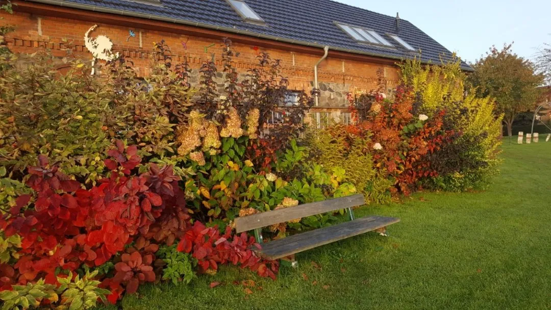 Aufnahme der Ferienwohnung von außen im Herbst